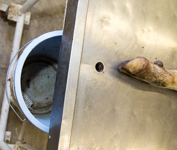 The bucket must be positioned right under the discharge hole of the table