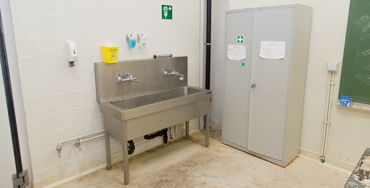 Disinfection area in the dissection room