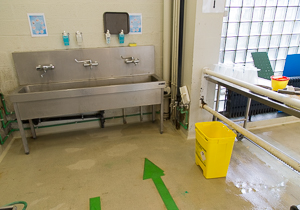 Yellow container in the disinfection area