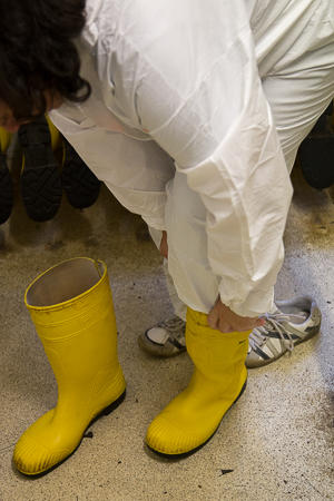 Mettre une paire de bottes jaunes