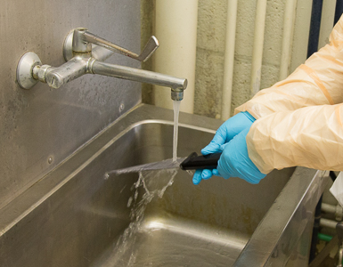 Clean dissection instruments at the sink of the disinfection zone 