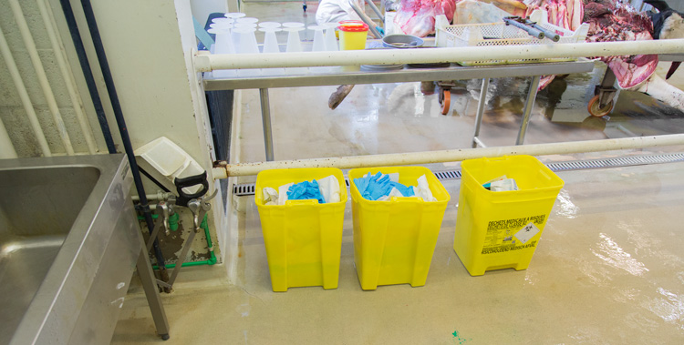 Poubelles jaunes dans la zone de dsinfection