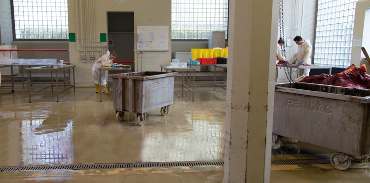 Wheeled container for the rendering plant in the dissection room