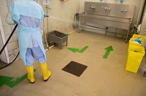 Staff member cleaning the disinfection zone