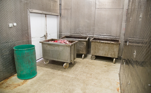 Rolling containers in the cold-storage chambers