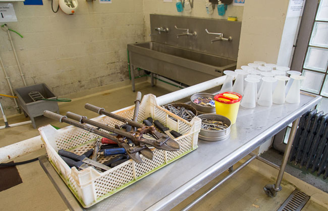 Table with dissection instruments