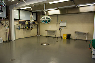 Empty and clean surgery room