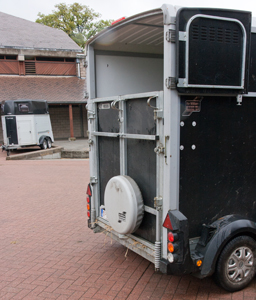 The horse remains in the closed trailer until its registration at reception