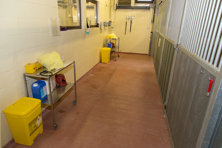 Poubelles jaunes devant chaque box