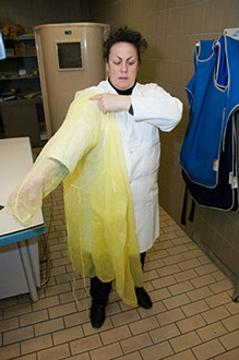 Put on a new yellow disposable apron in the X-ray room for companion animals.