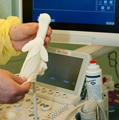 Wrap the ultrasound probe in a disposable glove.