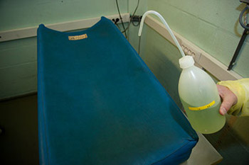 Disinfect the examination table with Umonium.