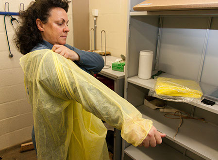 Put on a new yellow disposable apron in the X-ray room for large animals.