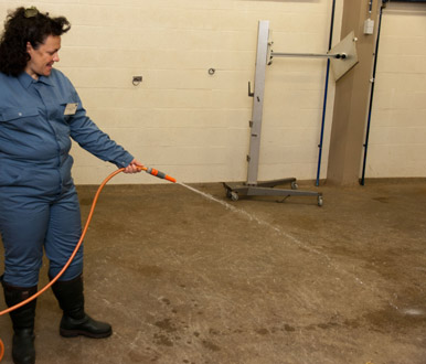 Clean the floor of the X-ray room for large animals