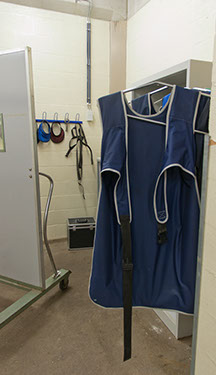 Lead apron and thyroid guards in the x-ray room for large animals