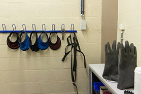 Thyroid guards and lead gloves in the x-ray room for large animals