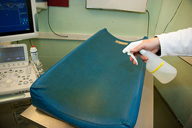 Clean the table with cleaning soap in the x-ray room for companion animals