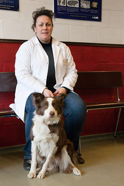 Chien accompagn dans la salle d'attente pour les animaux de compagnie