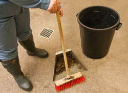 With the shovel, throw faeces in the trash cans intented for that purpose.