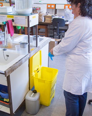 Dispose of gloves in the yellow waste container