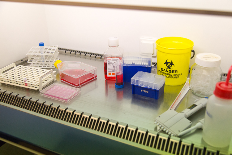 A small table yellow waste container is available in the biosafety cabinet