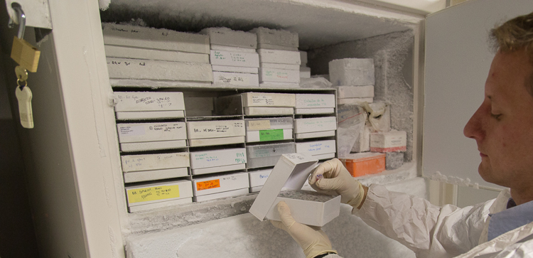 Tidy up samples in the -80C freezer