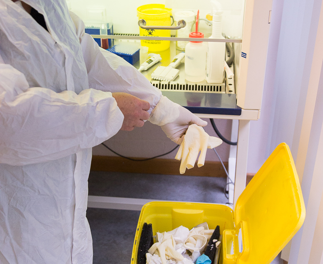 Dispose of gloves in the yellow bin