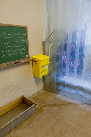 Yellow waste container in the inner side of the Pig farm anteroom. 