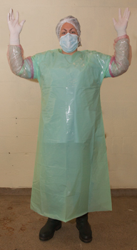 Tenue de chirurgie sur bovins debout