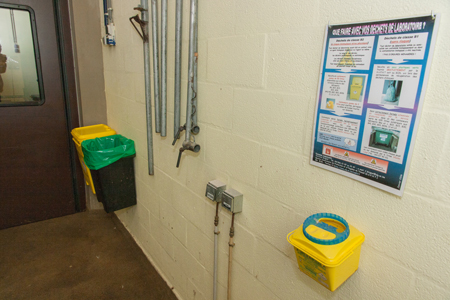 Bins in the unit for lying adult cattle