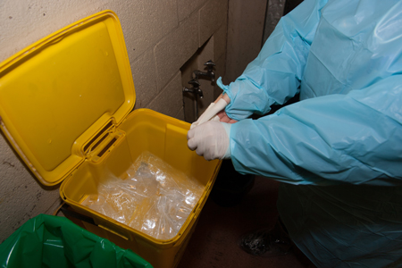 Dispose of gloves in the yellow container