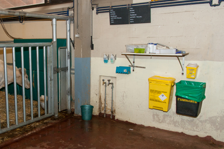 Equipment available in the unit for adult cattle 