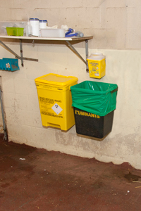 Bins in the unit for adult cattle of the classes 1 and 2 hospitalisation building 