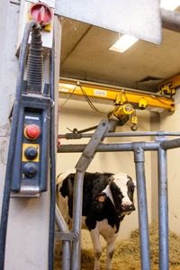 Lifting tackle in a stall