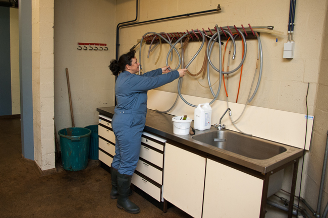 Replace the pipes above the sink of the large examination room.