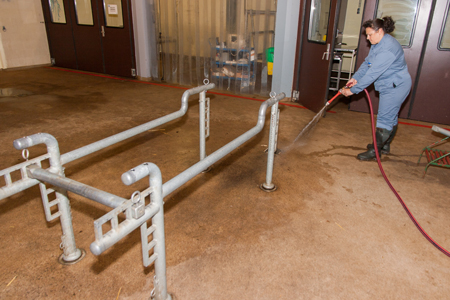 clean the large examination room