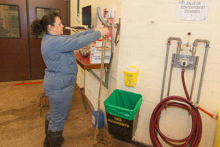 Reposition the ropes on the hook in the large examination room