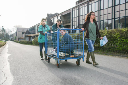 Trolley of the clinic of ruminants