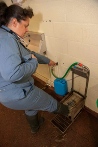 Wash your boots before walking through the foot bath