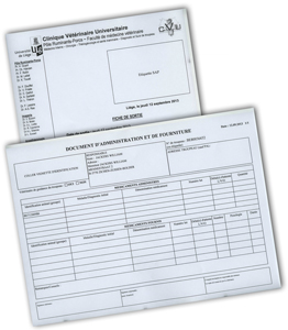 exit card and document of Administration and Supply (DAF)